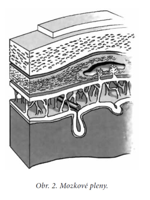 Osteopatia cielen uvolovanie blokd