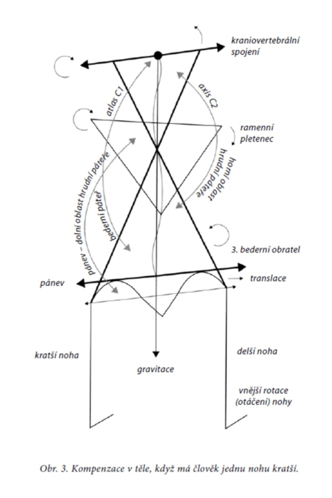 Osteopatia cielen uvolovanie blokd