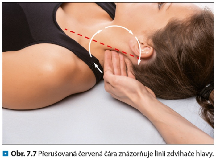 Nervov systm v osteopatii