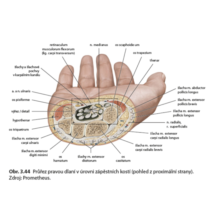 Parietlna osteopatia