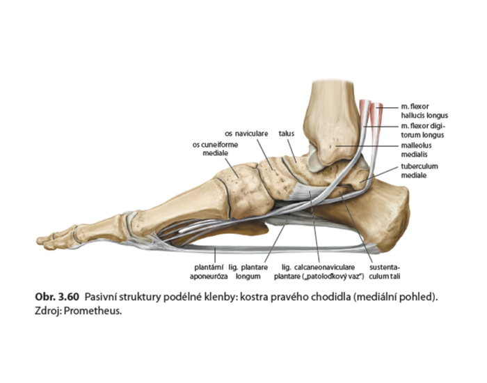 Parietlna osteopatia