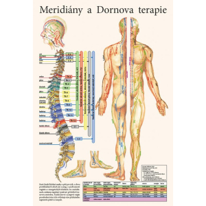 Plagt meridiny a Dornova terapia 47x32 cm