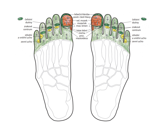 Terapia reflexných zón na nohe